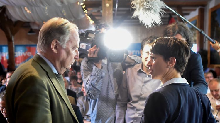 Häufig nicht derselben Meinung: die AfD-Parteispitze um Frauke Petry und Alexander Gauland.