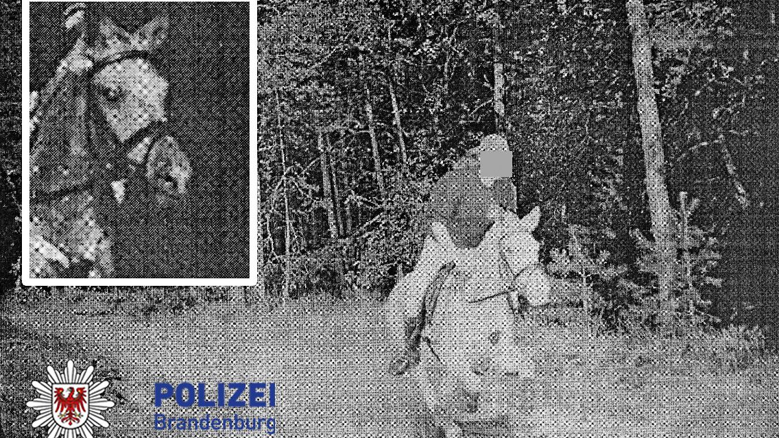 Das Foto ist schon elf Jahre alt. Die Polizei in Brandenburg hat es aber zum Nikolaus nochmal in ihrem Adventskalender auf Facebook veröffentlicht.
