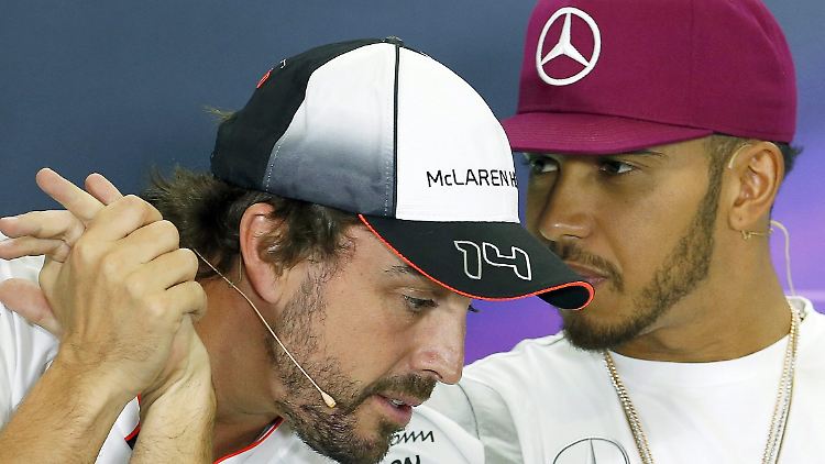 Kommende Saison wohl keine Teamkollegen: Fernando Alonso und Lewis Hamilton.