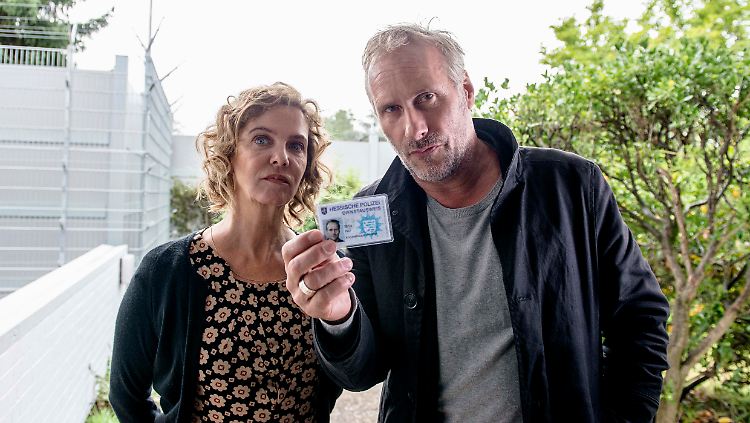Im Big-Data-Sumpf: Janneke und Brix