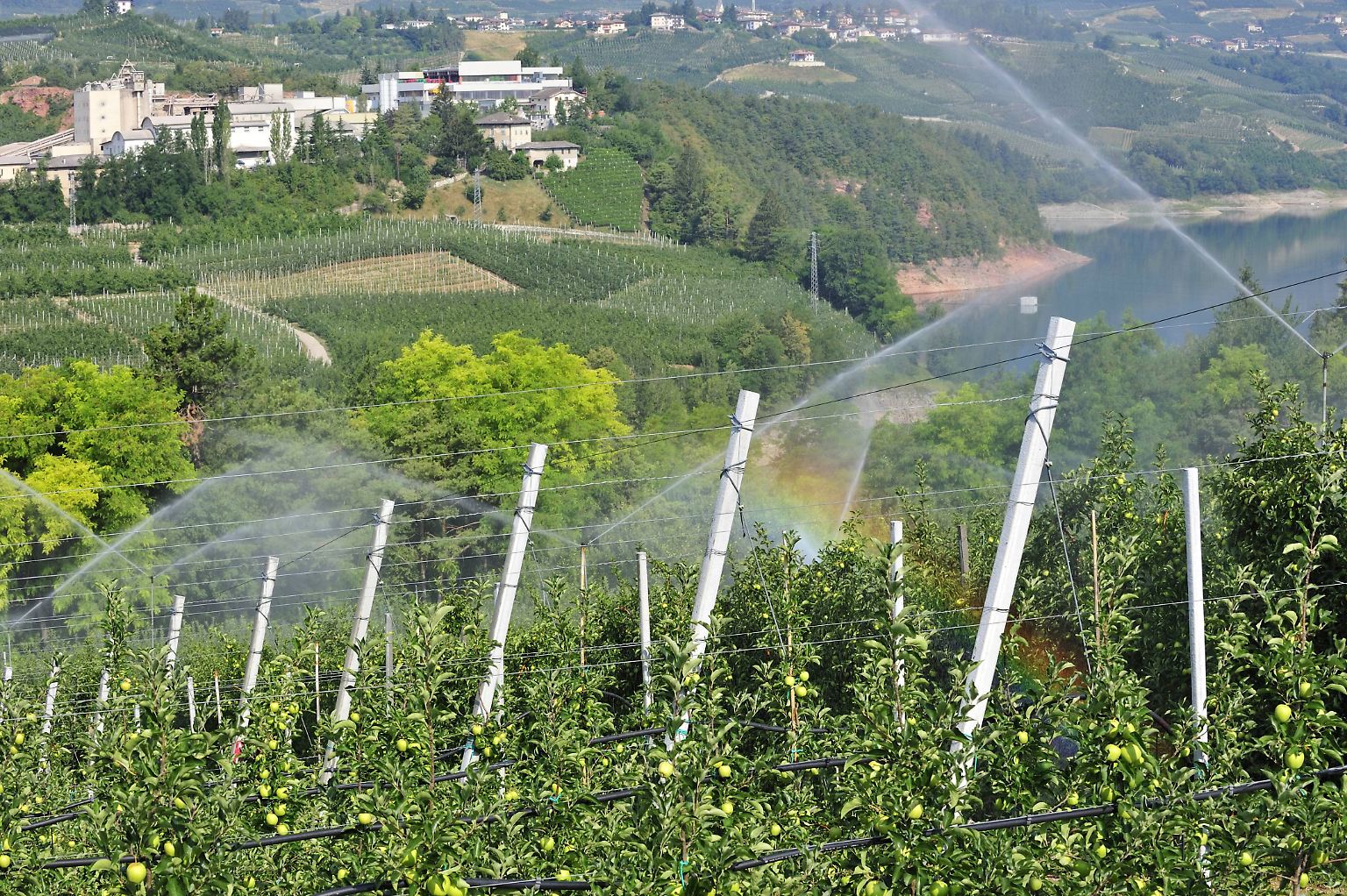 Apfelbäume brauchen Wasser, das ist kein Geheimnis. Und doch ist die Zahl, die angibt, wie viel ...
