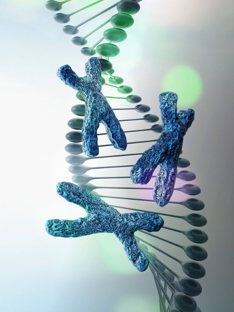DNA befindet sich in jeder Körperzelle und ist bei jedem Menschen anders ausgebildet.
