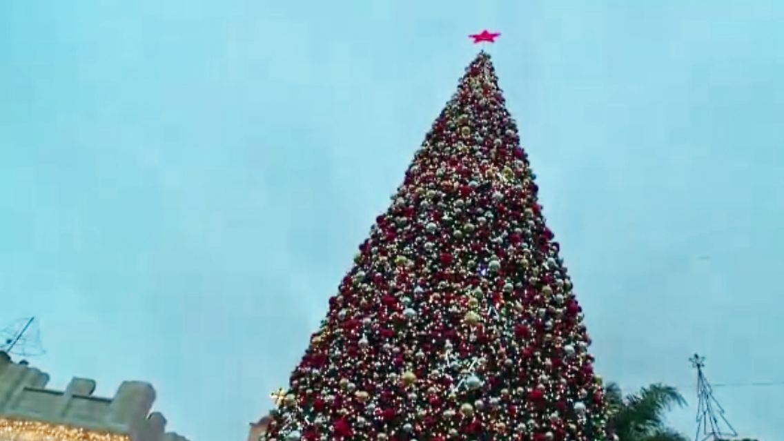 Nazareth-Weihnachtsbaum.jpg