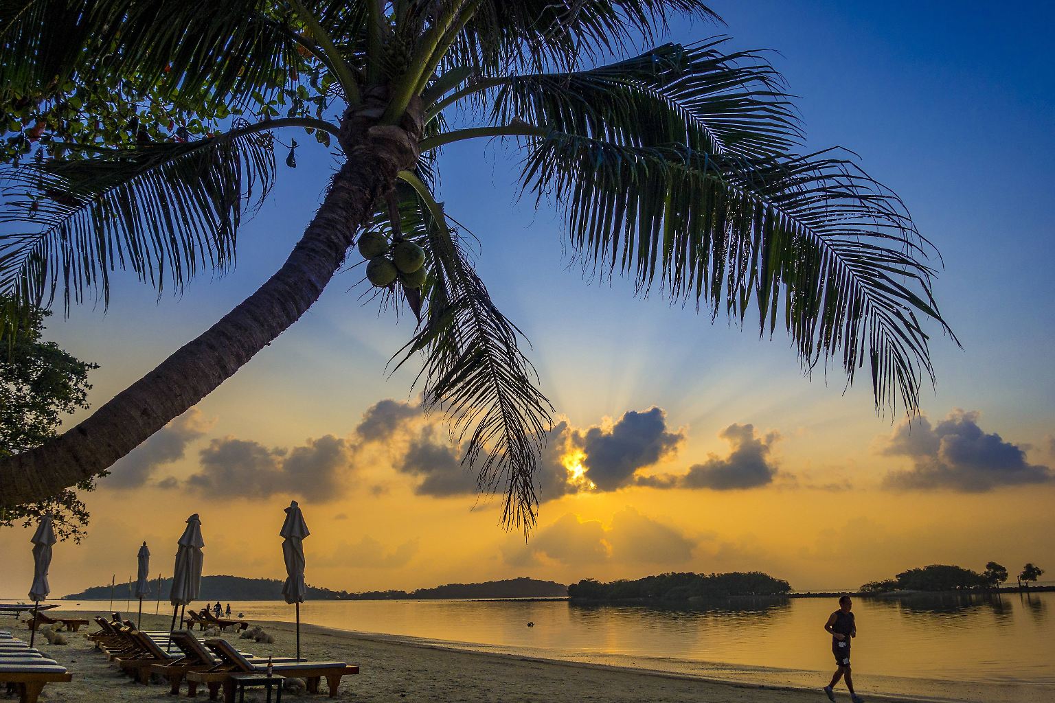 Eine Trauminsel wie Ko Samui ist wie geschaffen, um dem deutschen Winter zu entfliehen. Wer kann schon solchen Sonnenuntergängen widerstehen?
