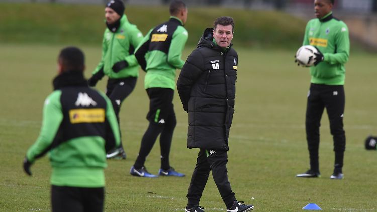 Dieter Hecking soll Borussia Mönchengladbach zurück in sichere Tabellenregionen führen.