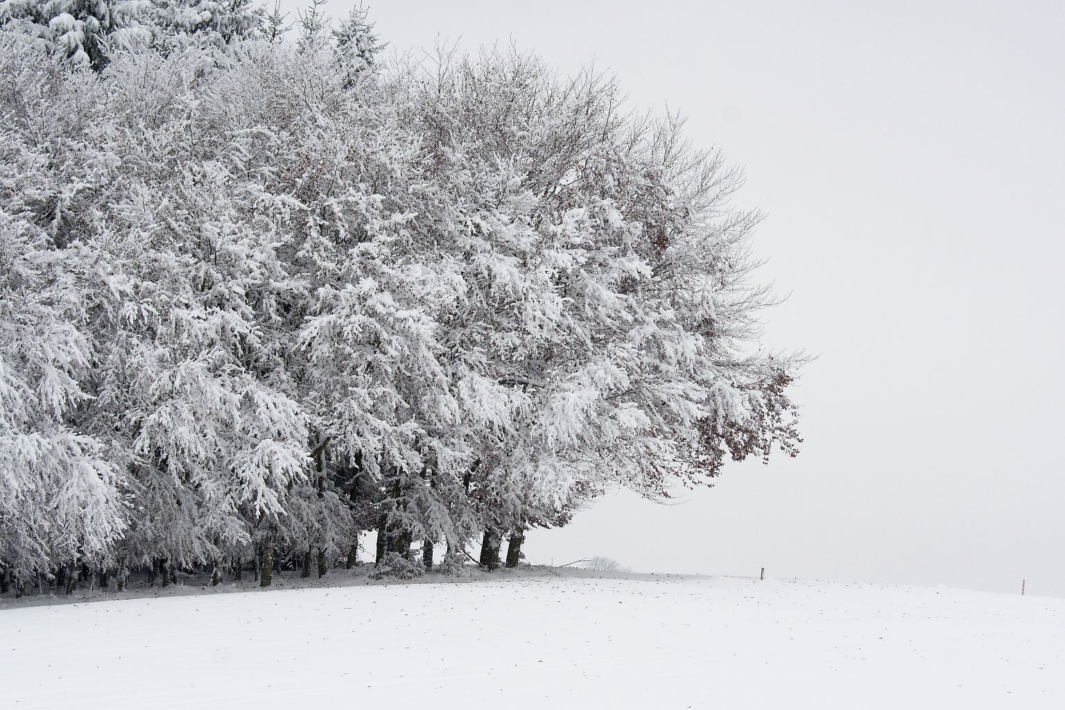 Schnee in Bayern ...