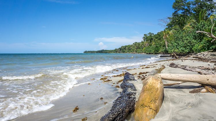 Ein traumhafter Sandstrand direkt neben dem Dschungel im Cahuita- Nationalpark.