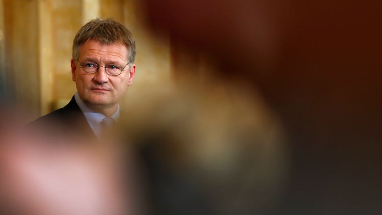 "Der Euro ist der Spaltpilz der EU", sagt Meuthen.
