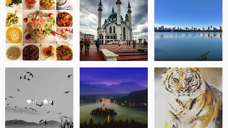Wenn man auf Instagram nach dem Hashtag #travel sucht, findet man sofort Inspiration für den nächsten Urlaub.
