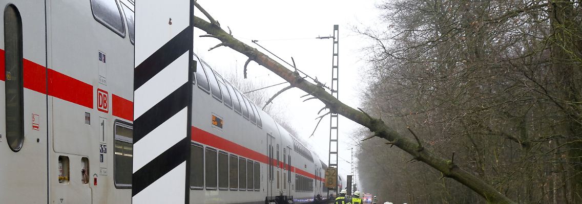 Dieser Baum bremste den IC aus.