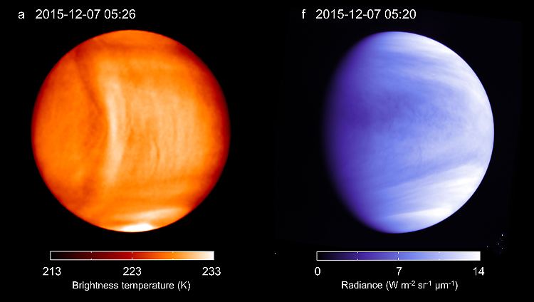 Aufnahmen der Venus, welche die Temperaturunterschiede zeigen (l.) sowie die Verteilung der UV-Strahlung auf dem Planeten (r.).