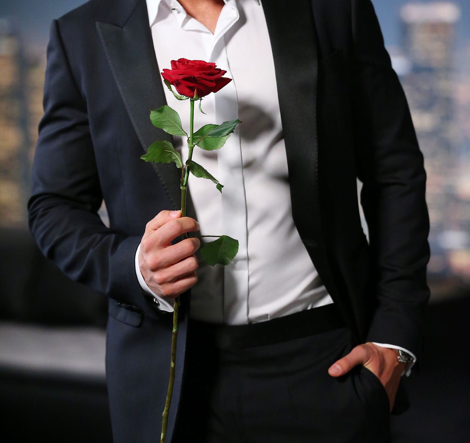 Am 1. Februar ist es wieder so weit: Der "Bachelor" greift bei RTL zu den Rosen. Das freut ...