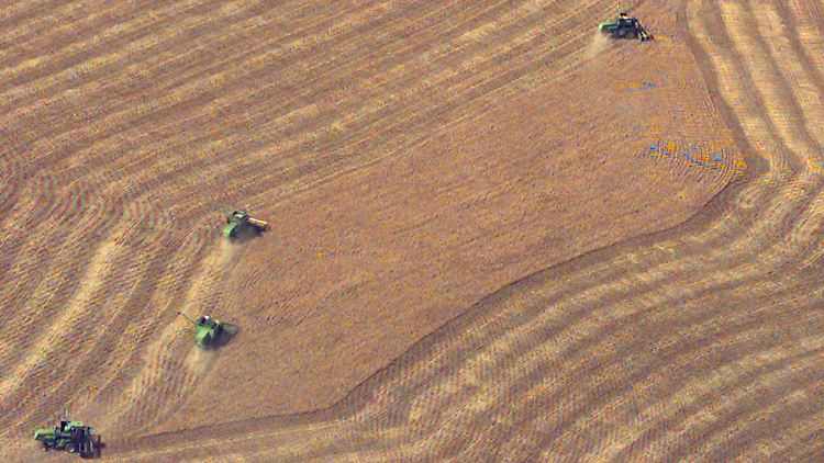 Erntehelfer gesucht: Allein in den USA wollen Bayer und Monsanto 3000 neue Stellen schaffen.