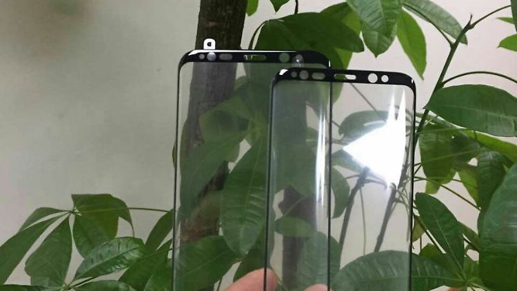 Diese Displayschützer geben einen klaren Eindruck davon, wie das S8 von vorne aussehen wird.