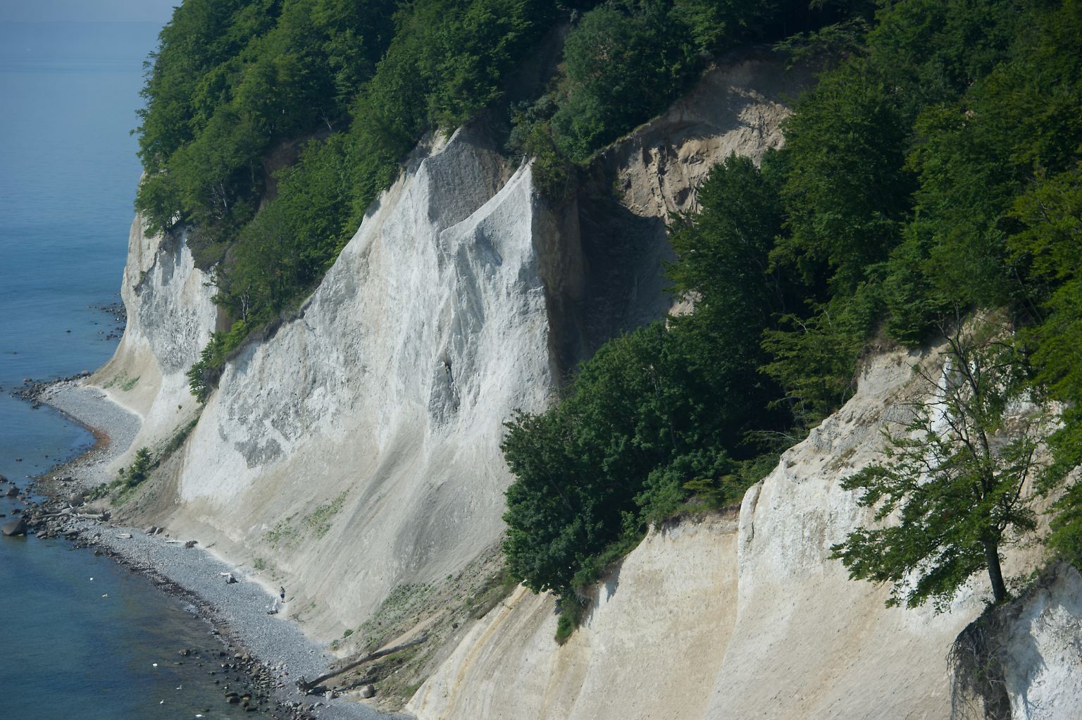 Mehr als 200 Naturdenkmäler stehen auf der Unesco-Liste des Welterbes. Sie gelten als einzigartig und man will sie für die Zukunft bewahren. Die Buchenwälder an den Kreidefelsen auf Rügen gehören dazu. Doch um einige der ...