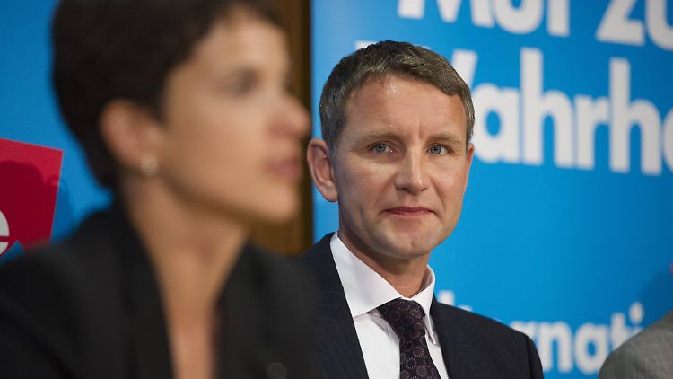 Parteichefin Petry und ihr Parteifreund Höcke