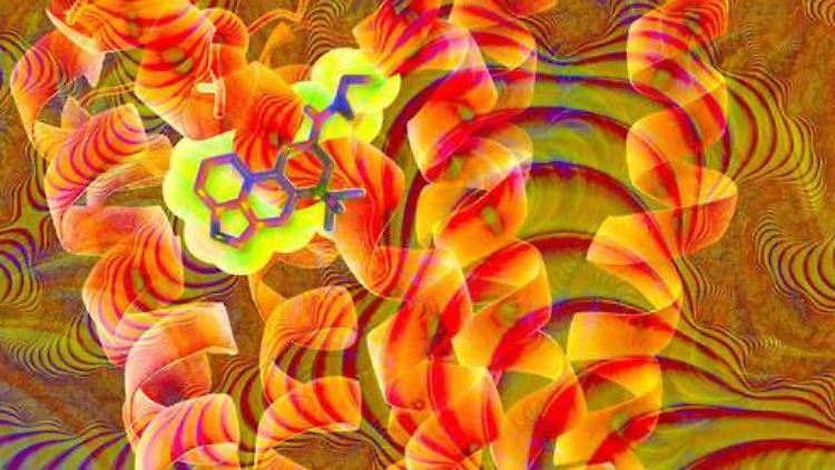 Computergrafik der chemischen Struktur von LSD (hellgelb) in einem orangefarbenen Banddiagramm des Serotoninrezeptors.