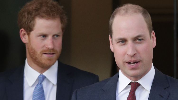 William (r.) und Harry wollen ihre Mutter mit einer Statue ehren.