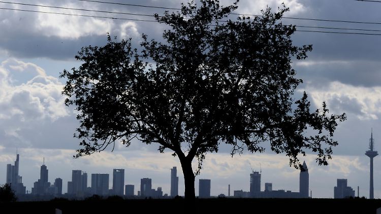 Die Skyline von Frankfurt - die Kultur versteckt sich eher in den kleinen Gebäuden.
