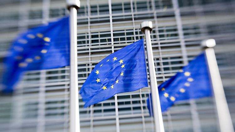 Transparency sieht ein "Systemproblem" und verlangt Reformen, etwa eine "Abkühlperiode" von drei statt bisher anderthalb Jahren für ehemalige EU-Kommissare. 