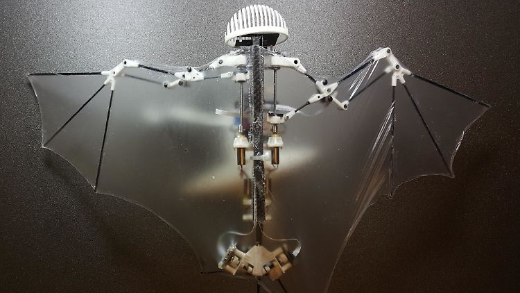 Ein "Fledermaus"-Roboter - seine Oberarme werden unter Verwendung einer Gleitschiene angetrieben.