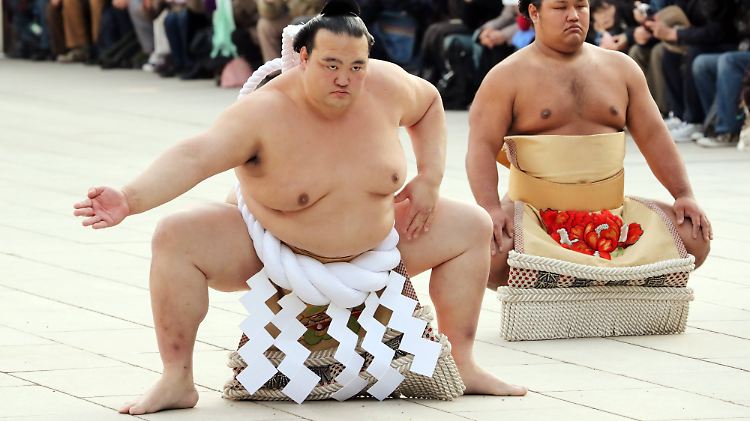Ein Meister seines Fachs: Kisenosato begeistert Millionen Japaner.