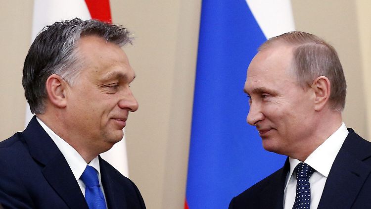 Der rechtskonservative Orban ist Putins wichtigster Verbündeter in der EU, die wegen des Ukraine-Konflikts eine Reihe von Sanktionen gegen Russland verhängt hat.