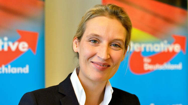 Weidel will nicht, dass die AfD als "Männerpartei" wahrgenommen wird.