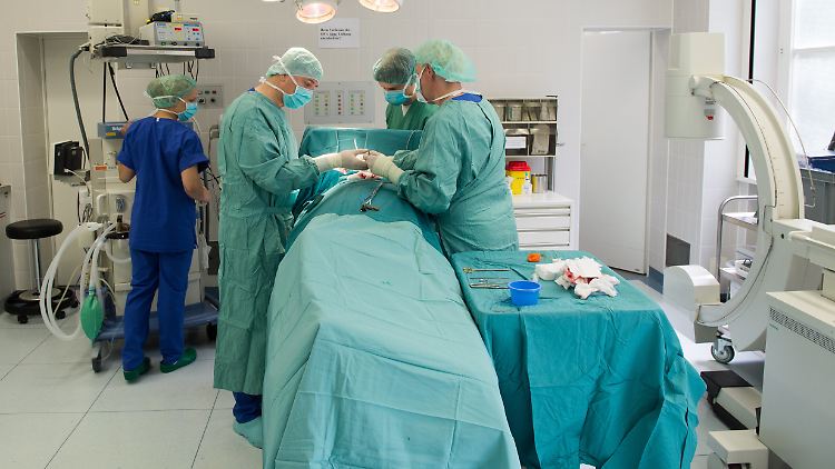 Im Jahr 2015 haben mehr als 95 000 Frauen ihre Schamlippen korrigieren lassen.