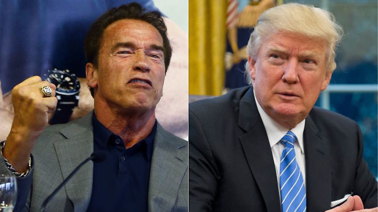 Vielleicht prügeln sie sich irgendwann wirklich noch: Arnold Schwarzenegger (l.) und Donald Trump.