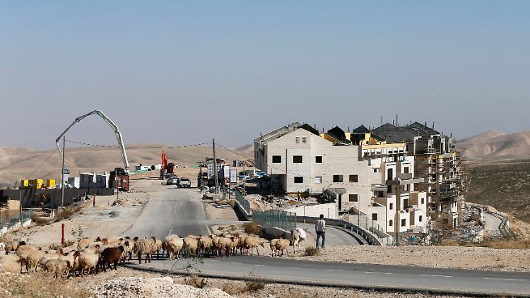 Ein palästinensischer Schäfer führt seine Tiere an einer israelischen Siedlung im Westjordanland vorbei.