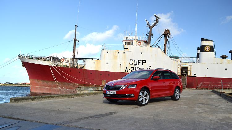 Vier Augen für den neuen Skoda Octavia sehen am lebenden Objekt gar nicht so schlecht aus.