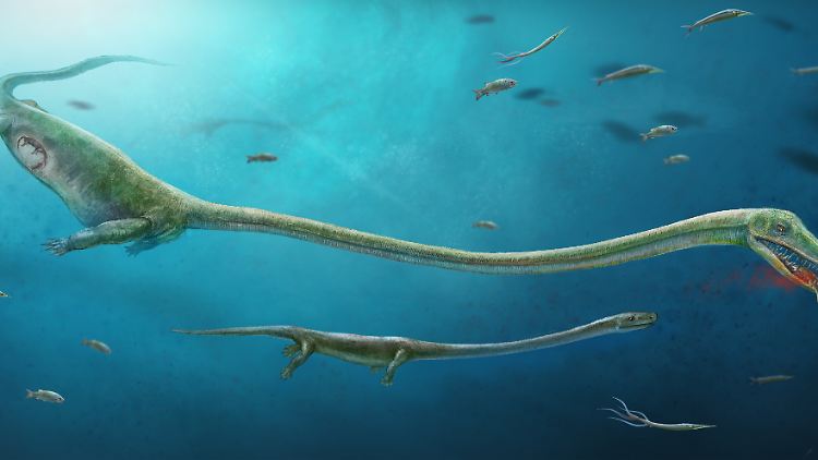 Die künstlerische Darstellung zeigt, wie das Meeresreptil ausgesehen haben könnte.