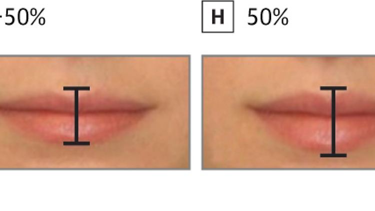 Probanden wurden verschiedene Lippengrößen präsentiert, um die Attraktivität zu ermitteln.