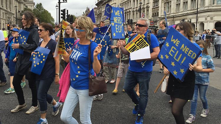 Ihr Protest verhallt: Britische EU-Befürworter im Herbst 2016 in London.