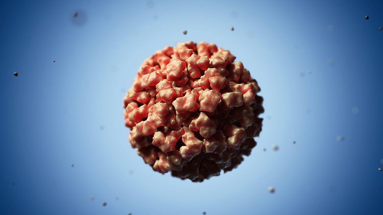 Die künstlerische Darstellung eines Norovirus.