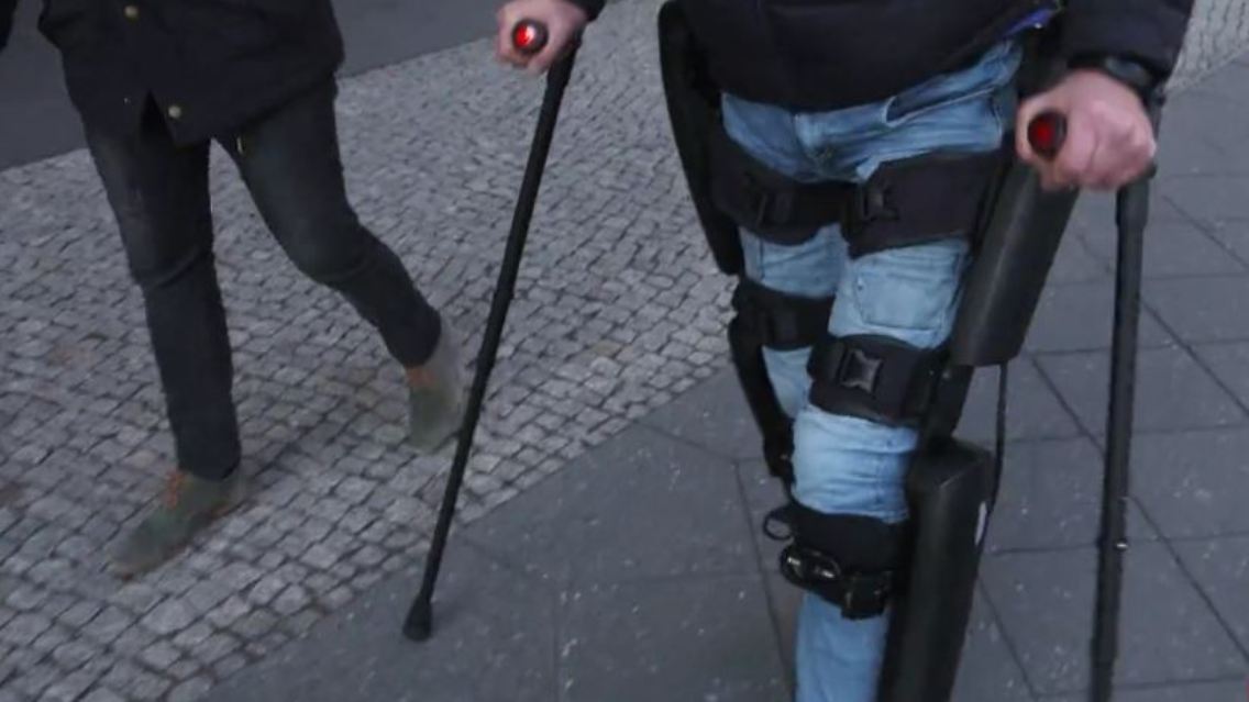 exoskelett.JPG