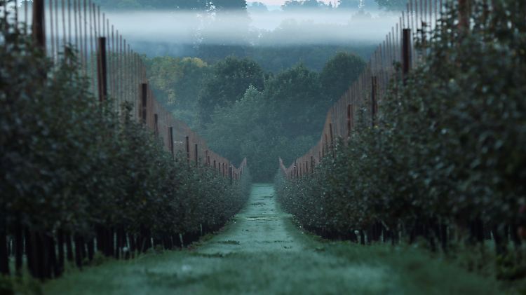 Gähnende Leere, kein Arbeiter in Sicht. Ist das die Zukunft der britischen Landwirtschaft?