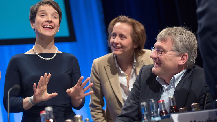 Will die AfD im Herbst in den Bundestag bringen: die Parteispitze um Frauke Petry, Beatrix von Storch und Jörg Meuthen.
