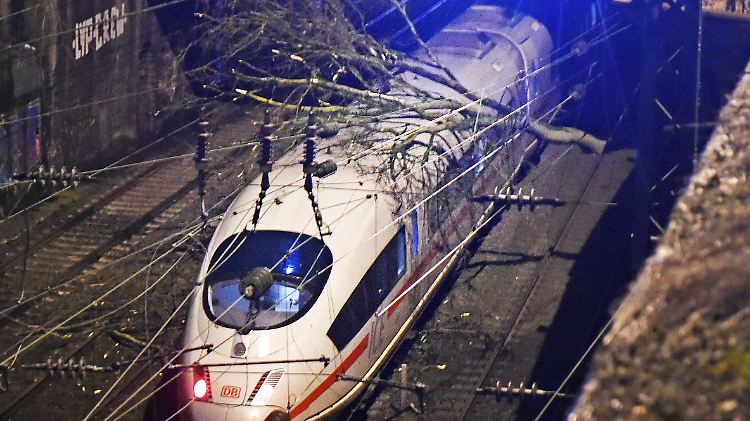 In Wuppertal krachten Äste eines Baumes auf einen fahrenden ICE.