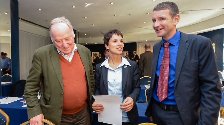 Gauland, Petry und Höcke - wer gewinnt am Ende der Oberhand in der AfD?