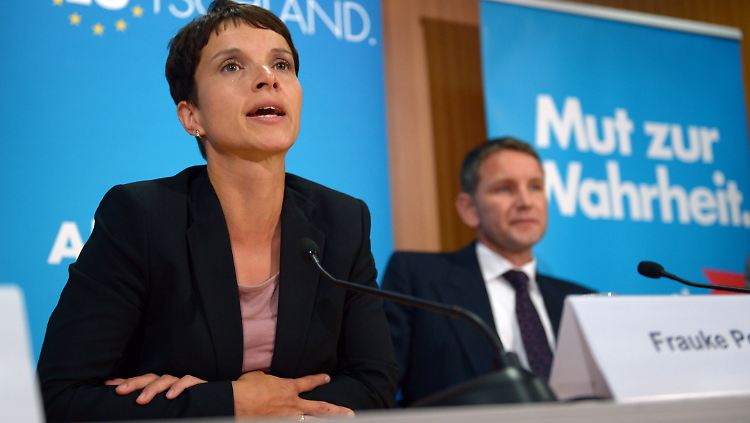 AfD-Chefin Petry hatte sich vom thüringischen Parteichef Höcke nach dessen Äußerungen über das Erinnern an den Holocaust distanziert.