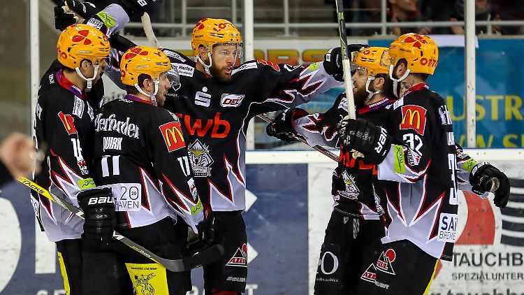 Die Fischtown Pinguins begeistern nicht nur ihre Fans, sondern auch die Experten.