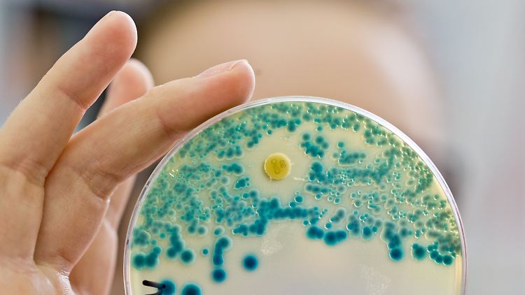 Die Liste soll als Richtschnur für die weitere Forschung und für die Entwicklung neuer Antibiotika dienen, teilte die WHO mit.