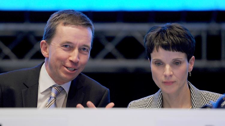 Bernd Lucke gründete die AfD im Februar 2013, Frauke Petry führt sie seit 2015.
