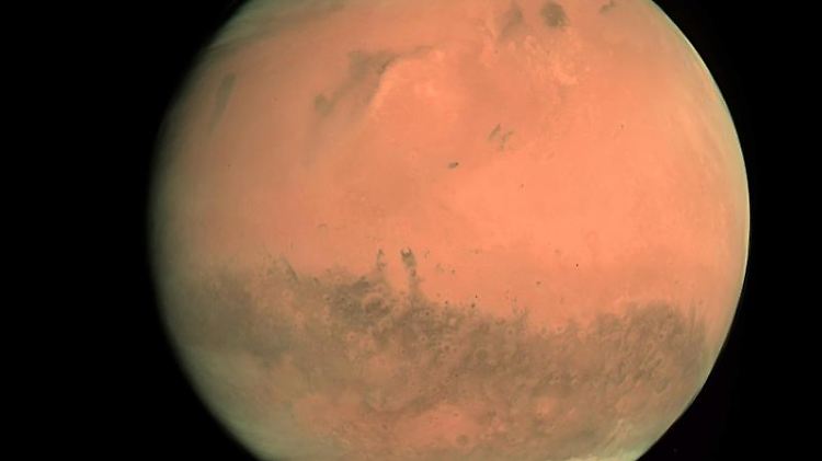SpaceX-Chef und Visionär Elon Musk will im Jahr 2024 den Mars besiedeln.