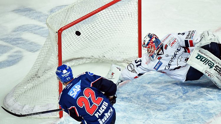 Matthias Plachta erlegte die Eisbären im Alleingang