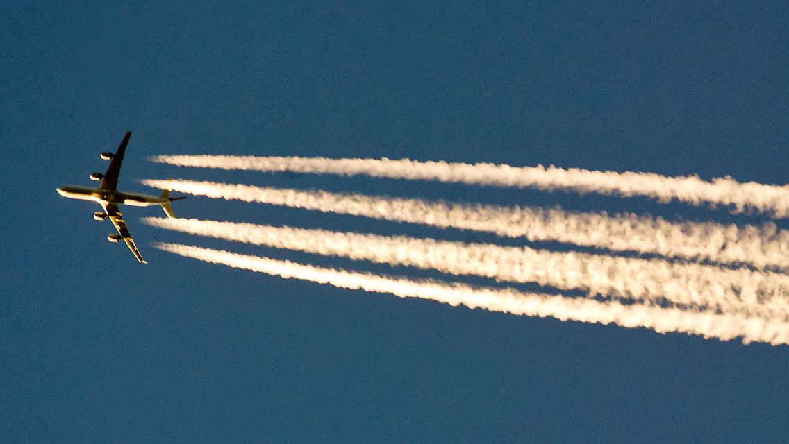 85518875.jpg