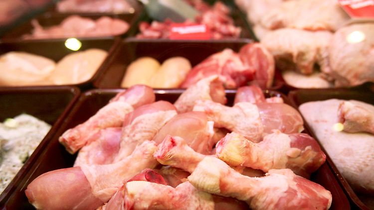 Campylobacter-Bakterien siedeln sich gern auf rohem Geflügelfleisch an.