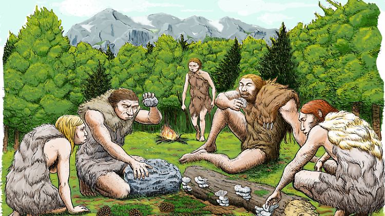 So könnte es ausgesehen haben, wenn Neandertaler ihre Mahlzeit einnahmen.